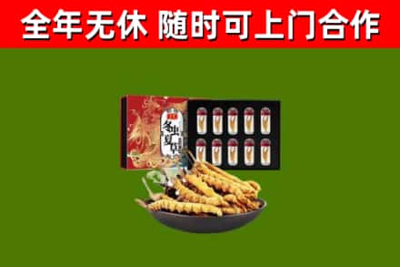 抚州回收冬虫夏草价格
